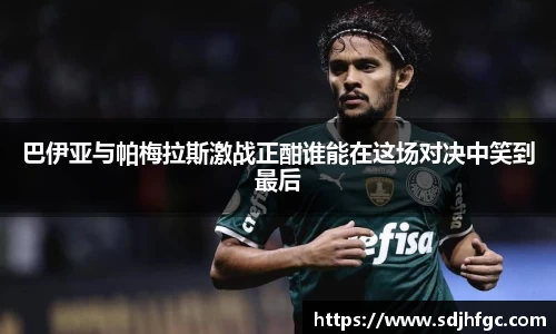 币游国际